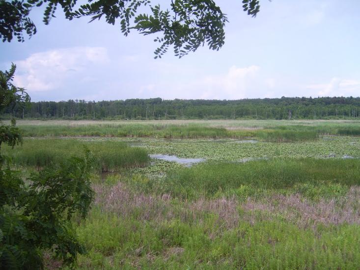 Хрінівка з panoramio.com - Хрінівка