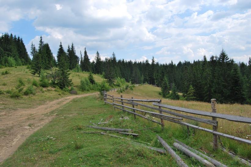 Сенечів з panoramio.com - Сенечів