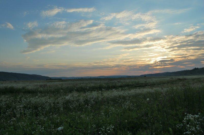 Золота Липа з panoramio.com - Золотая Липа