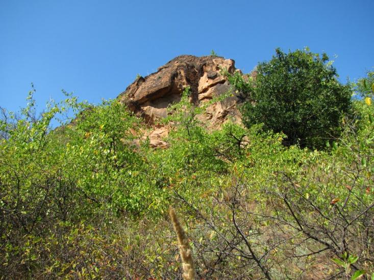 Плещіївка з panoramio.com - Pleschiyivka