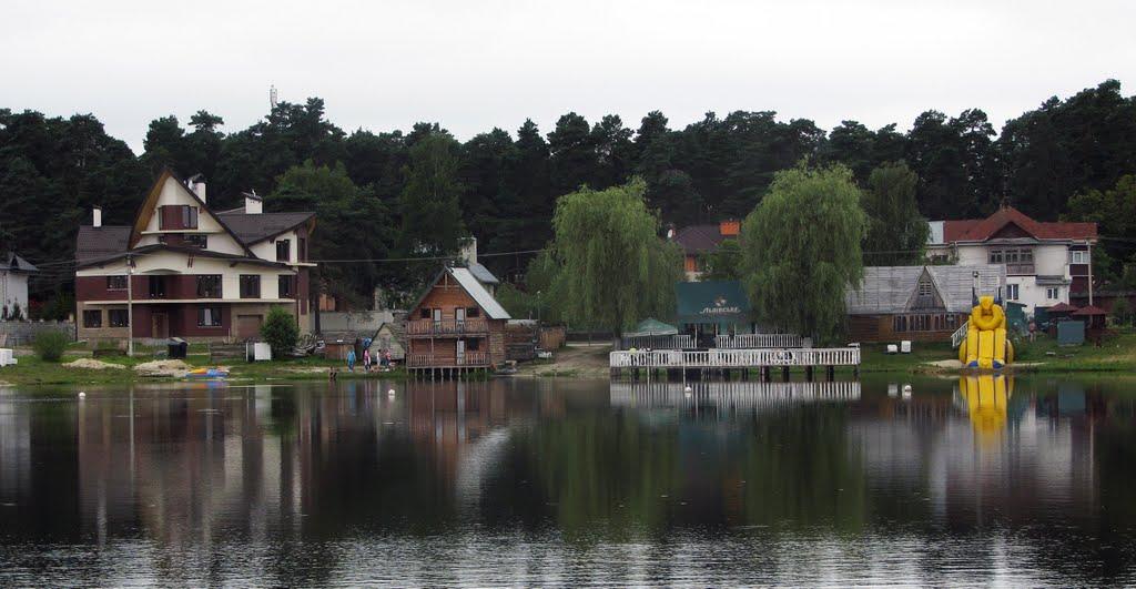 Брюховичі з panoramio.com - Брюховичи