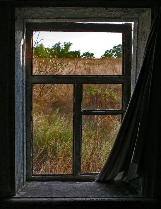 В'язівка з panoramio.com - Вязовка