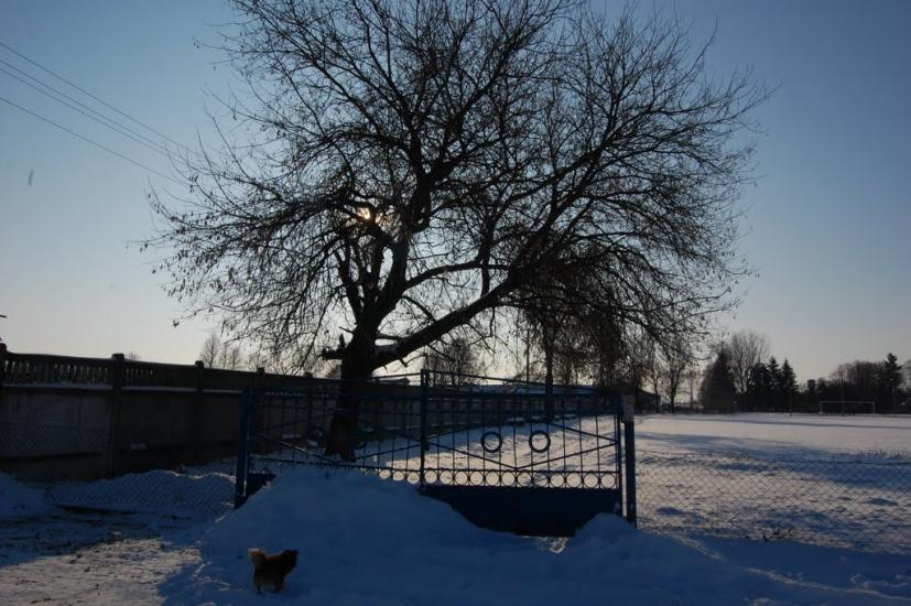 Демидівка з panoramio.com - Демидівка