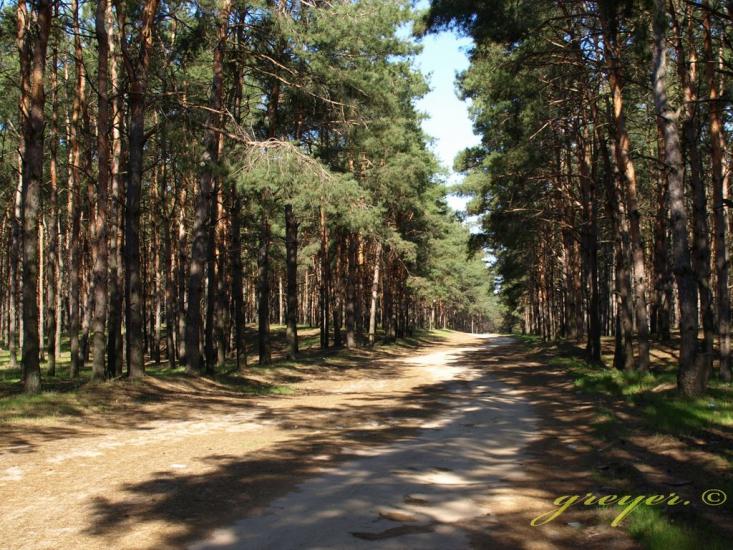 Малокаховка з panoramio.com - Малокаховка