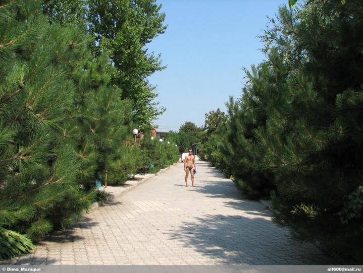 Урзуф з panoramio.com - Урзуф