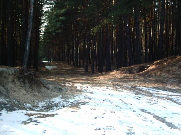 Мерефа з panoramio.com - Мерефа