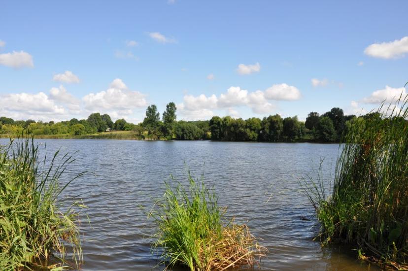 Шарапанівка з panoramio.com - Шарапанівка