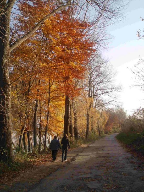 Біла з panoramio.com - Біла