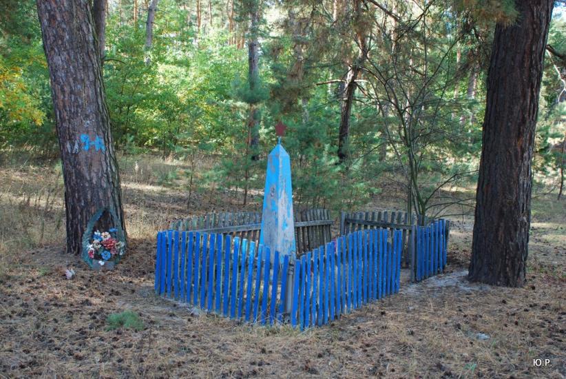 Опішня з panoramio.com - Опошня