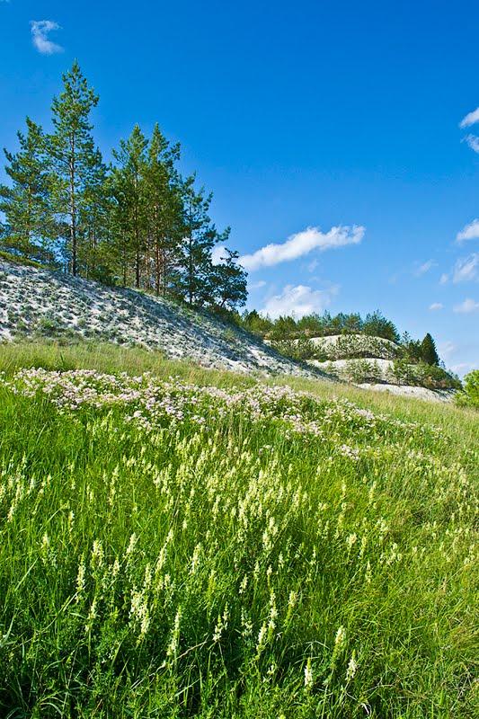 Новомлинськ з panoramio.com - Новомлинск