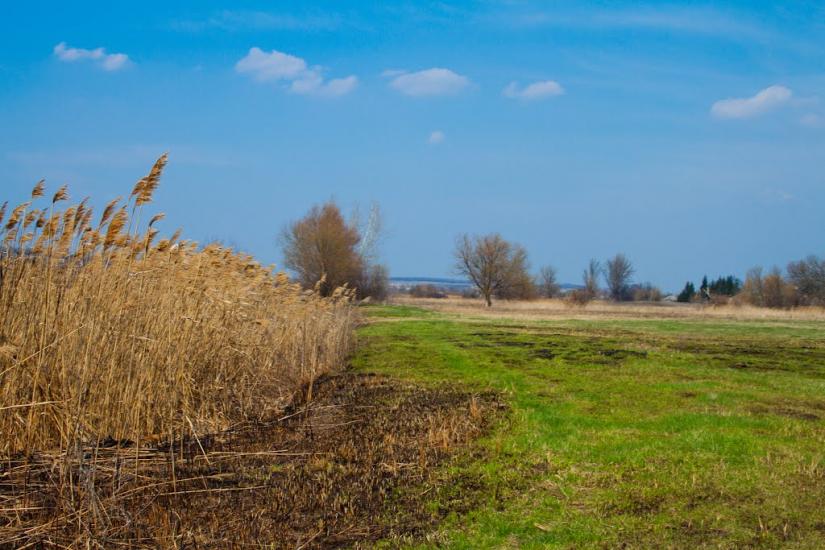 Петро-Іванівка з panoramio.com - Петро-Ивановка