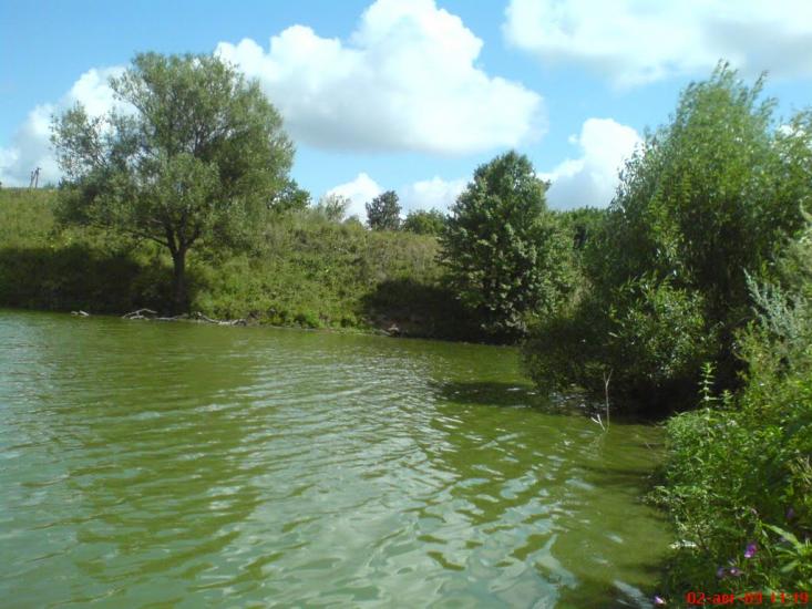 Баранівка з panoramio.com - Барановка