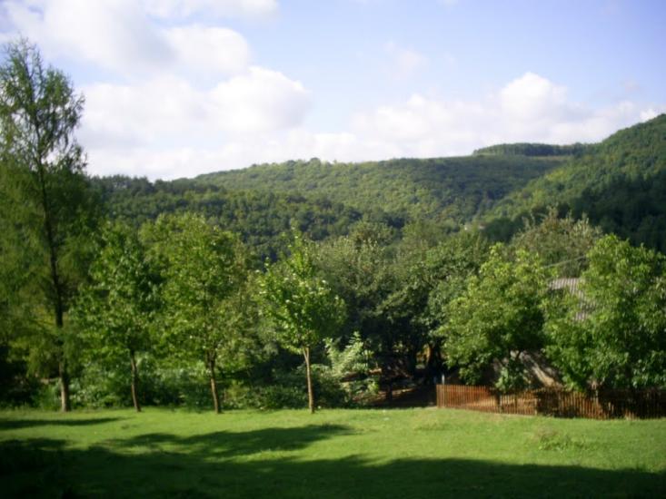 Сновидів з panoramio.com - Сновидів