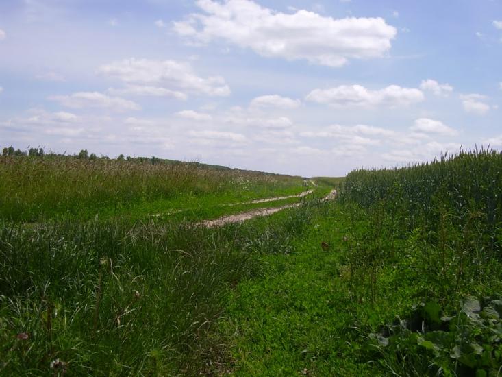 Коржівці з panoramio.com - Korzhivtsi