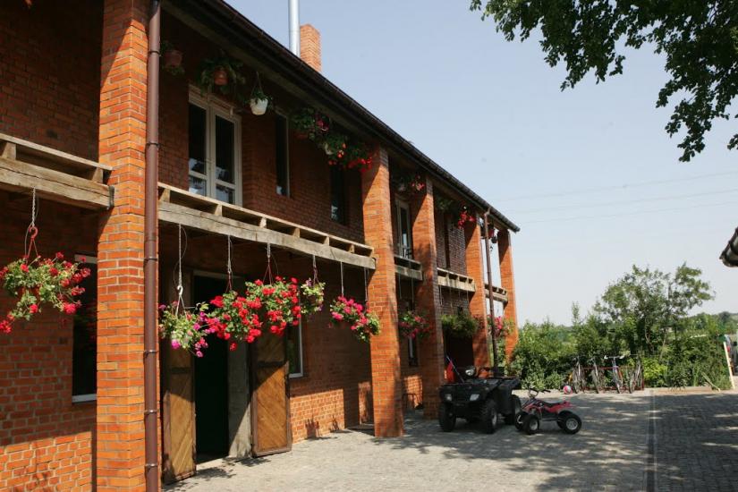 Синиця з panoramio.com - Синица