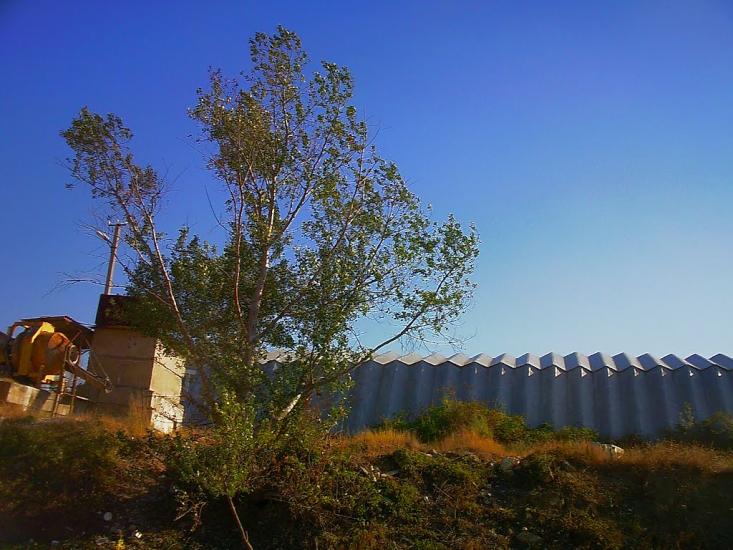 Каштани з panoramio.com - Каштани