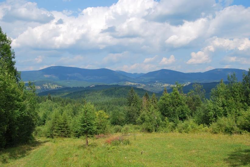 Сенечів з panoramio.com - Сенечев