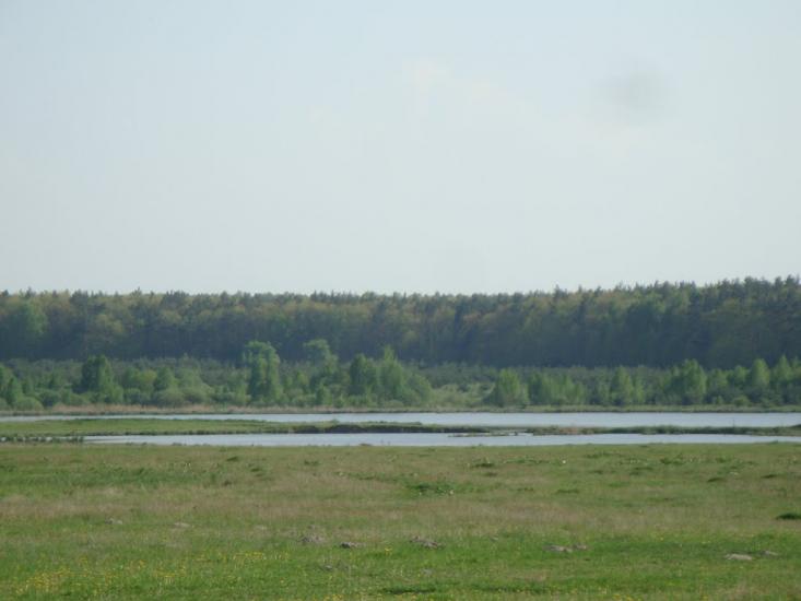 М'ясківка з panoramio.com - М'ясківка