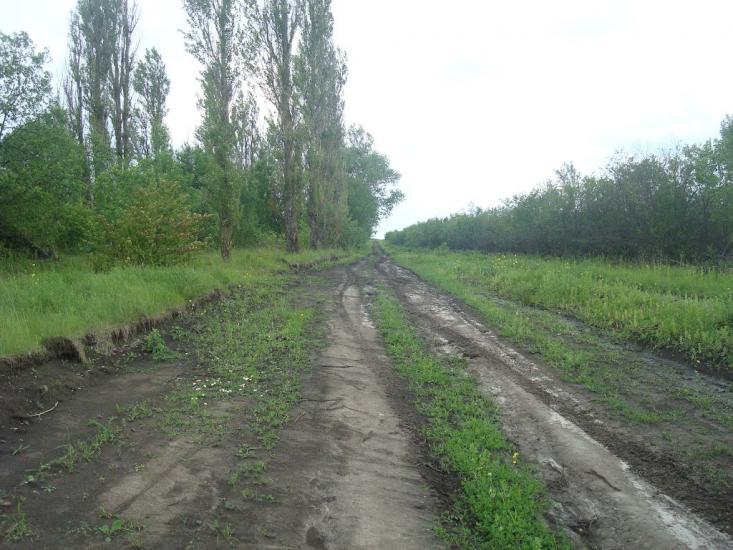 Стуфчинці з panoramio.com - Stufchyntsi
