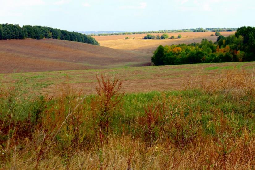 Устя з panoramio.com - Устя