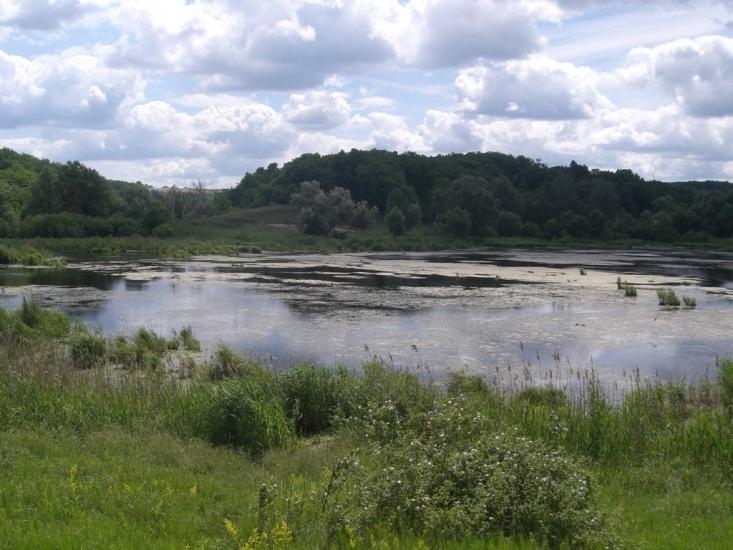 Ходосівка з panoramio.com - Ходосовка
