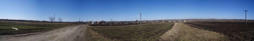 Рогізне з panoramio.com - Рогозное