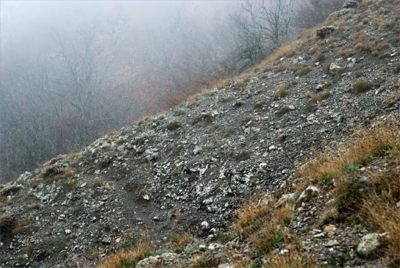 Міжріччя з panoramio.com - Междуречье