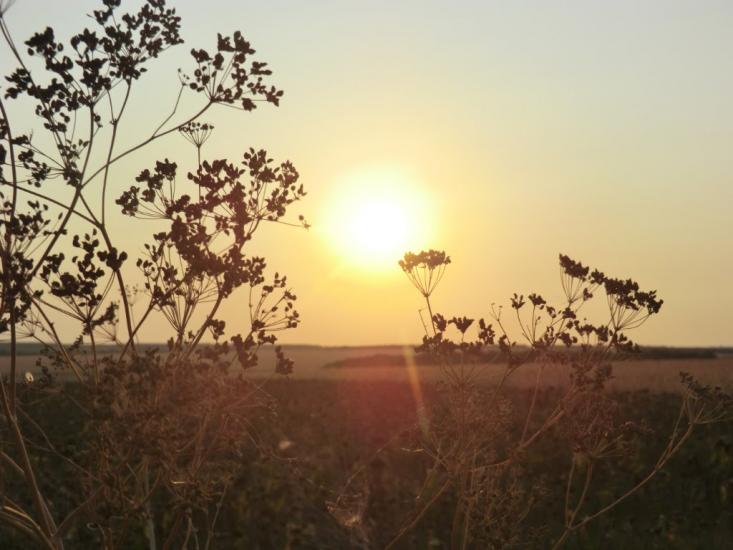 Ладижинка з panoramio.com - Ладыжинка