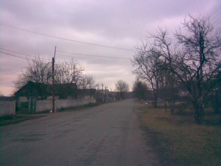 Заріччя з panoramio.com - Заріччя