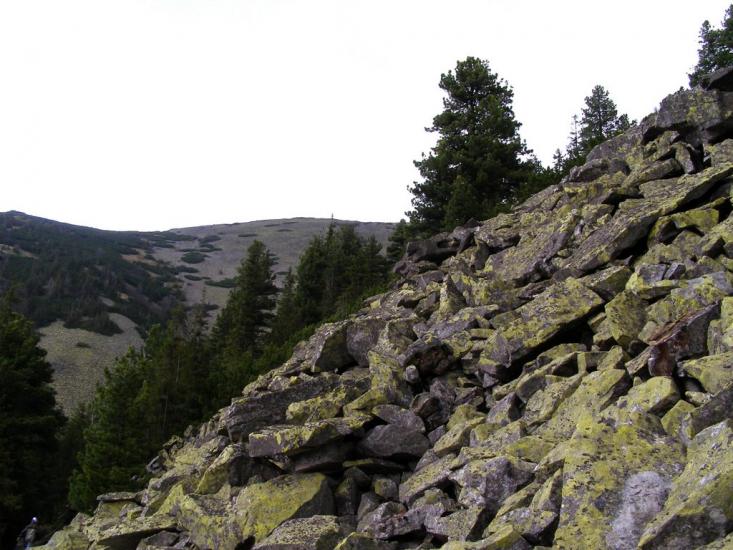 Кузьминець з panoramio.com - Кузьминець