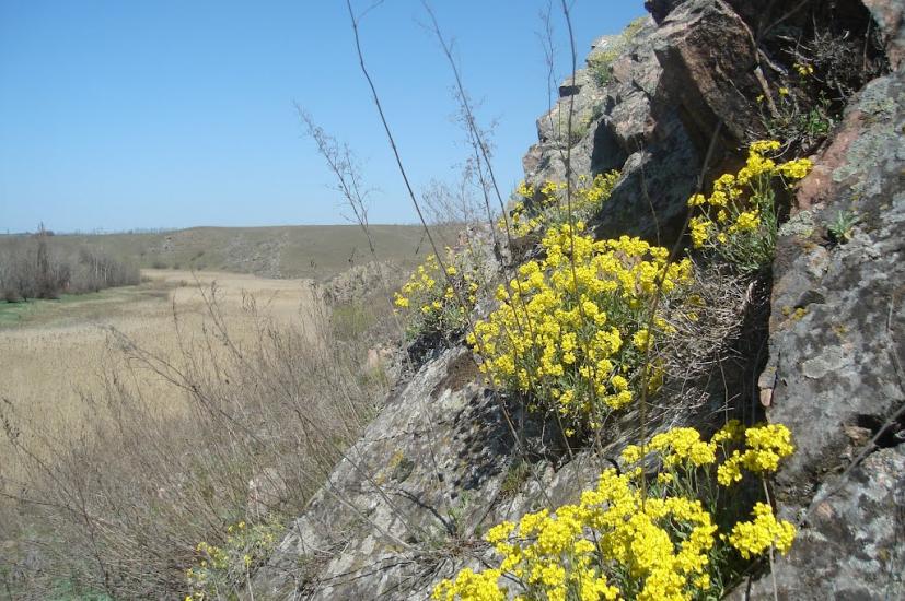 Роздольне з panoramio.com - Роздольное