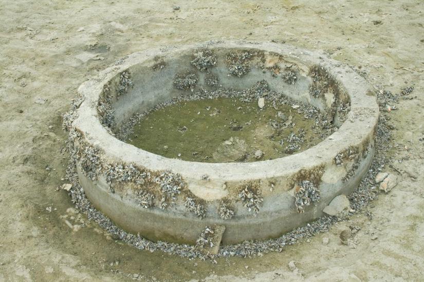 Коврай з panoramio.com - Коврай