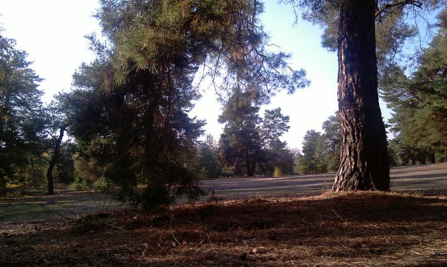 Гвардійське з panoramio.com - Гвардійське