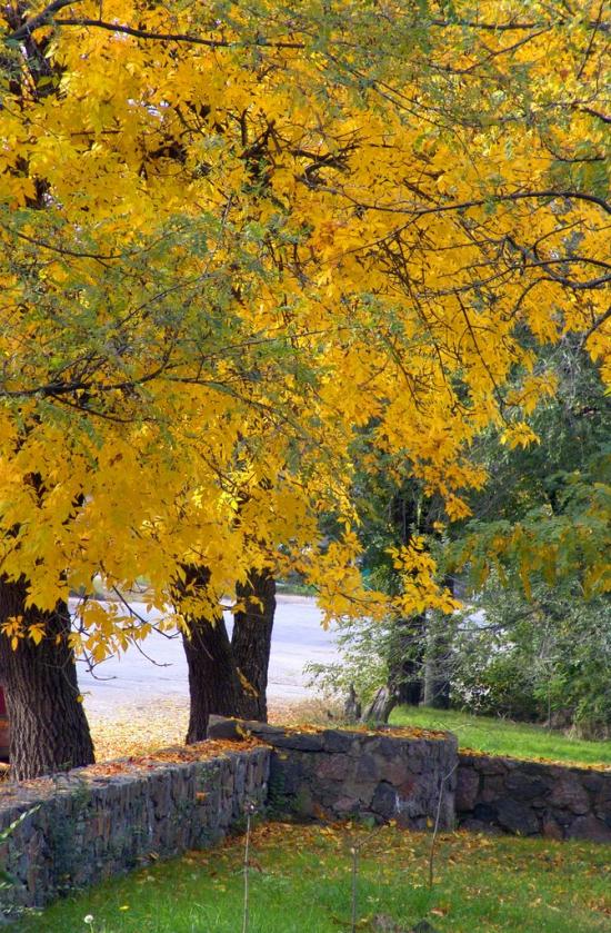 Чернігівка з panoramio.com - Чернігівка