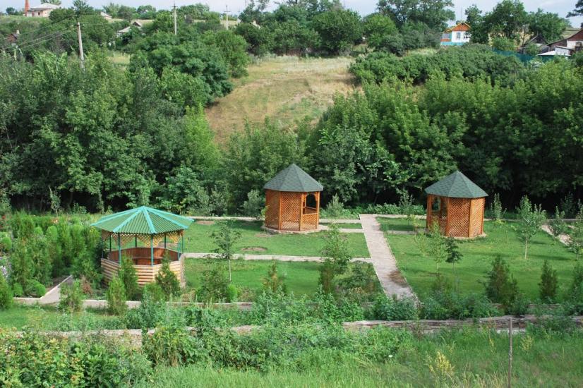 Сніжне з panoramio.com - Snizhne