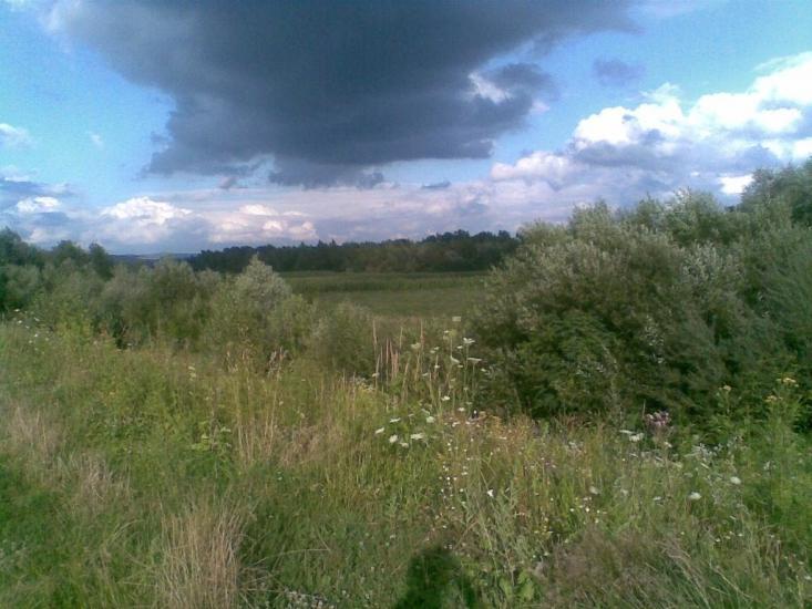 Тячів з panoramio.com - Tyachiv