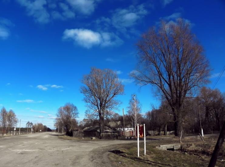 Неданчичі з panoramio.com - Неданчичі