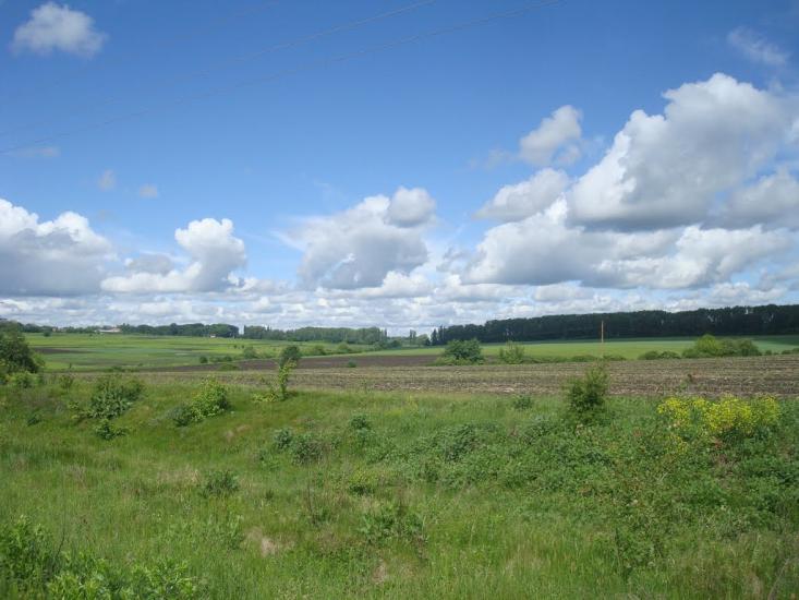 Жищинці з panoramio.com - Жищинці