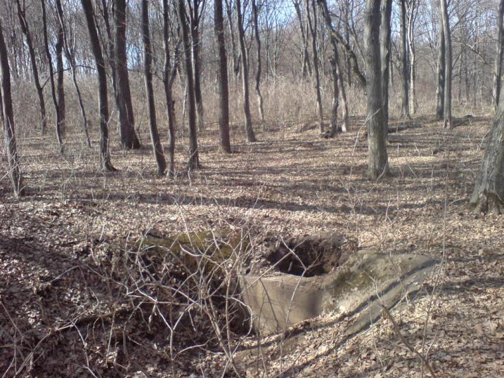 Нестерівці з panoramio.com - Нестерівці