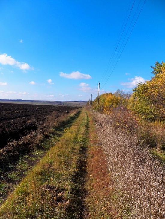 Данилове з panoramio.com - Данилово