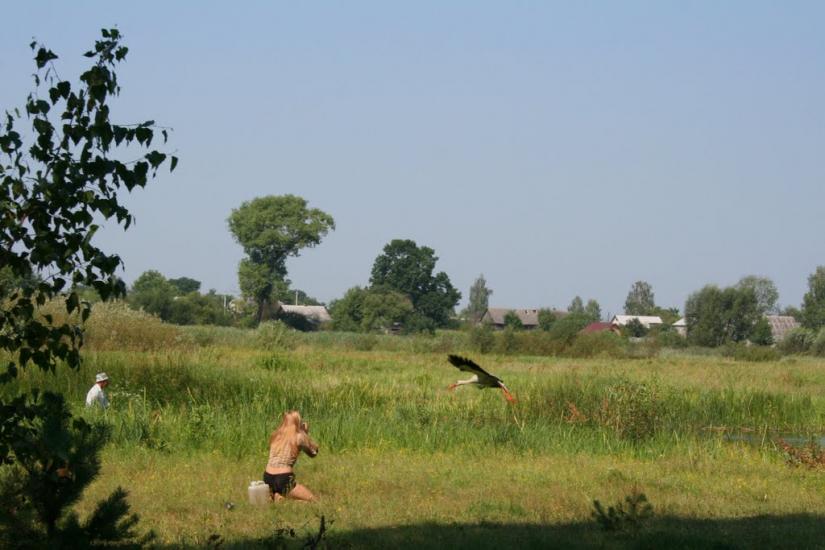 Люб'язь з panoramio.com - Lyubyaz