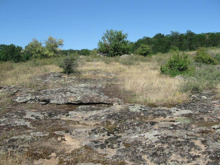 Куріпчине з panoramio.com - Kuripchyne