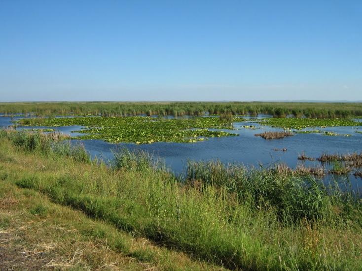Нова Некрасівка з panoramio.com - Новая Некрасовка