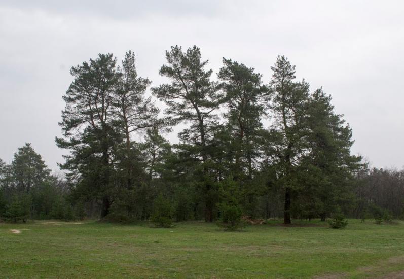 Гвардійське з panoramio.com - Гвардійське