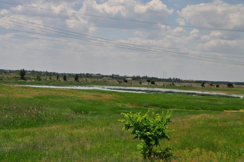 Павлівка з panoramio.com - Павловка