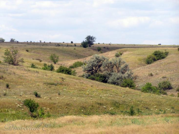 Недайвода з panoramio.com - Недайвода