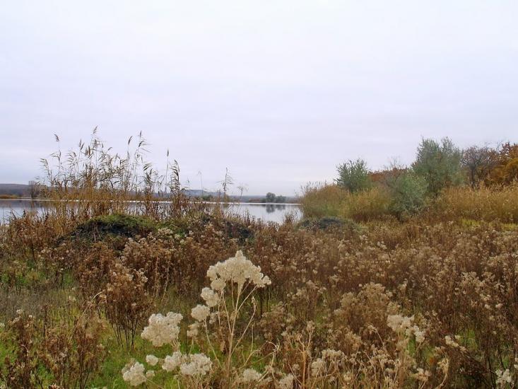Олександрівське з panoramio.com - Александровское