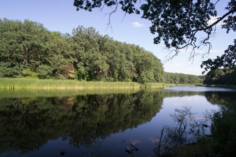 Підлісне з panoramio.com - Pidlisne
