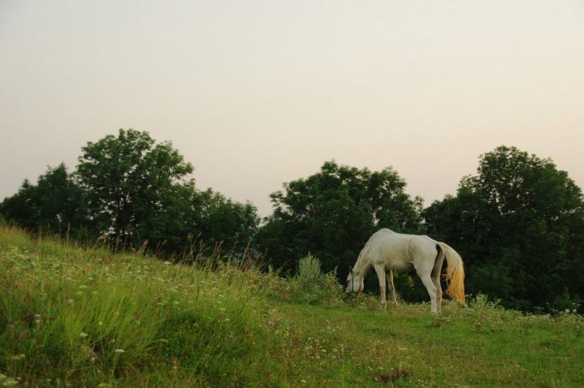 Браїлівка з panoramio.com - Брайловка