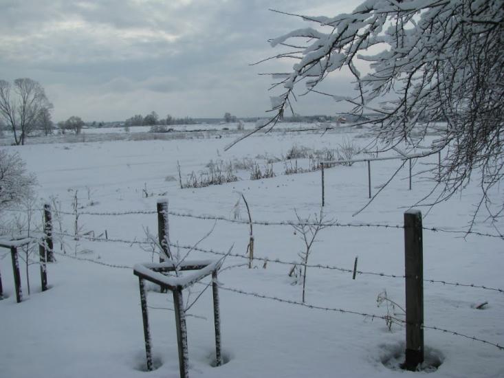 Демидів з panoramio.com - Demydiv